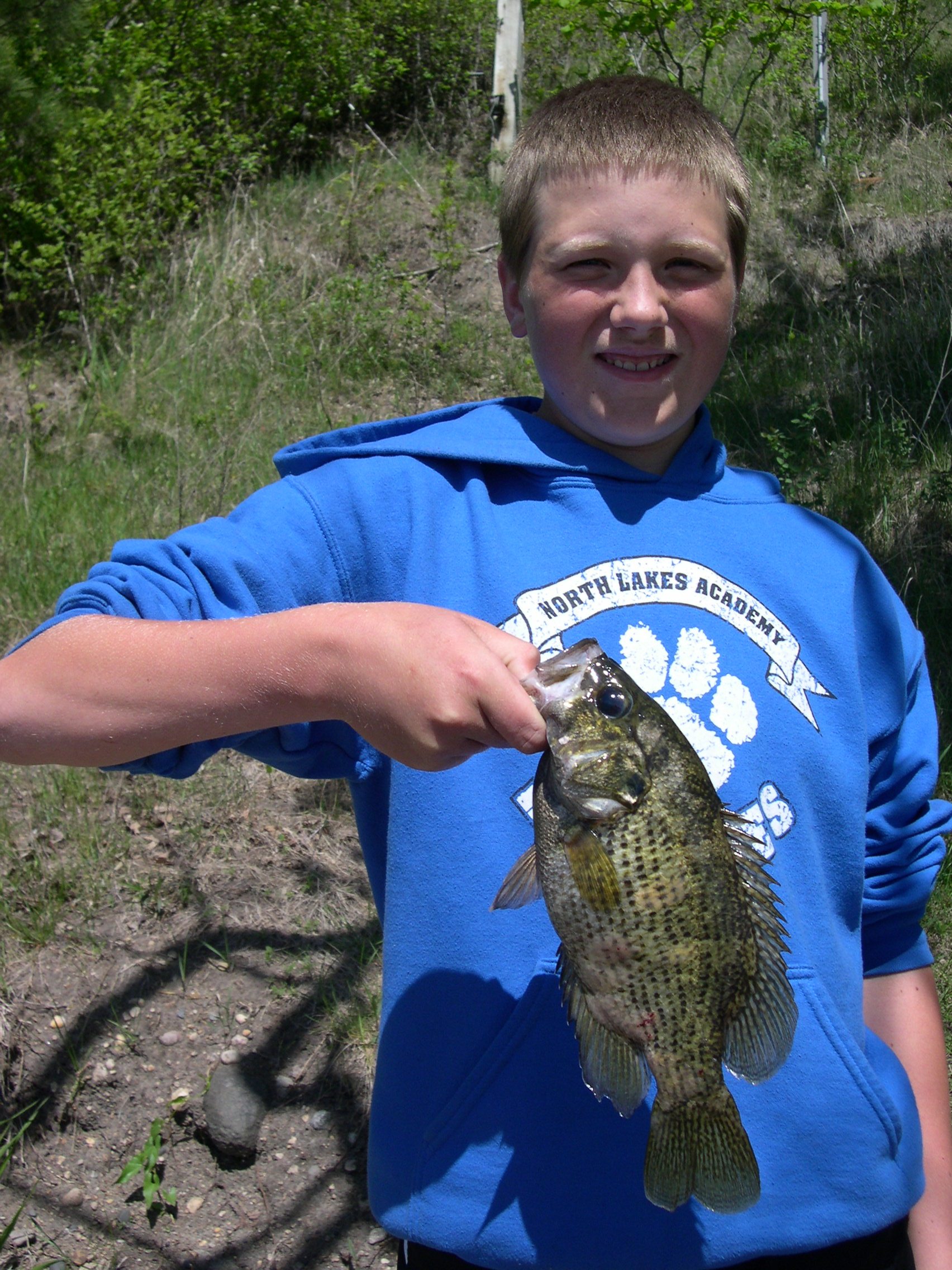 Leurre Jeremy Knutson Holy Diver, Modèle Jaune Perchoir, Pour Musky, Bois Jerkbait - Rare