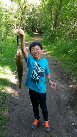 Gavin Sun