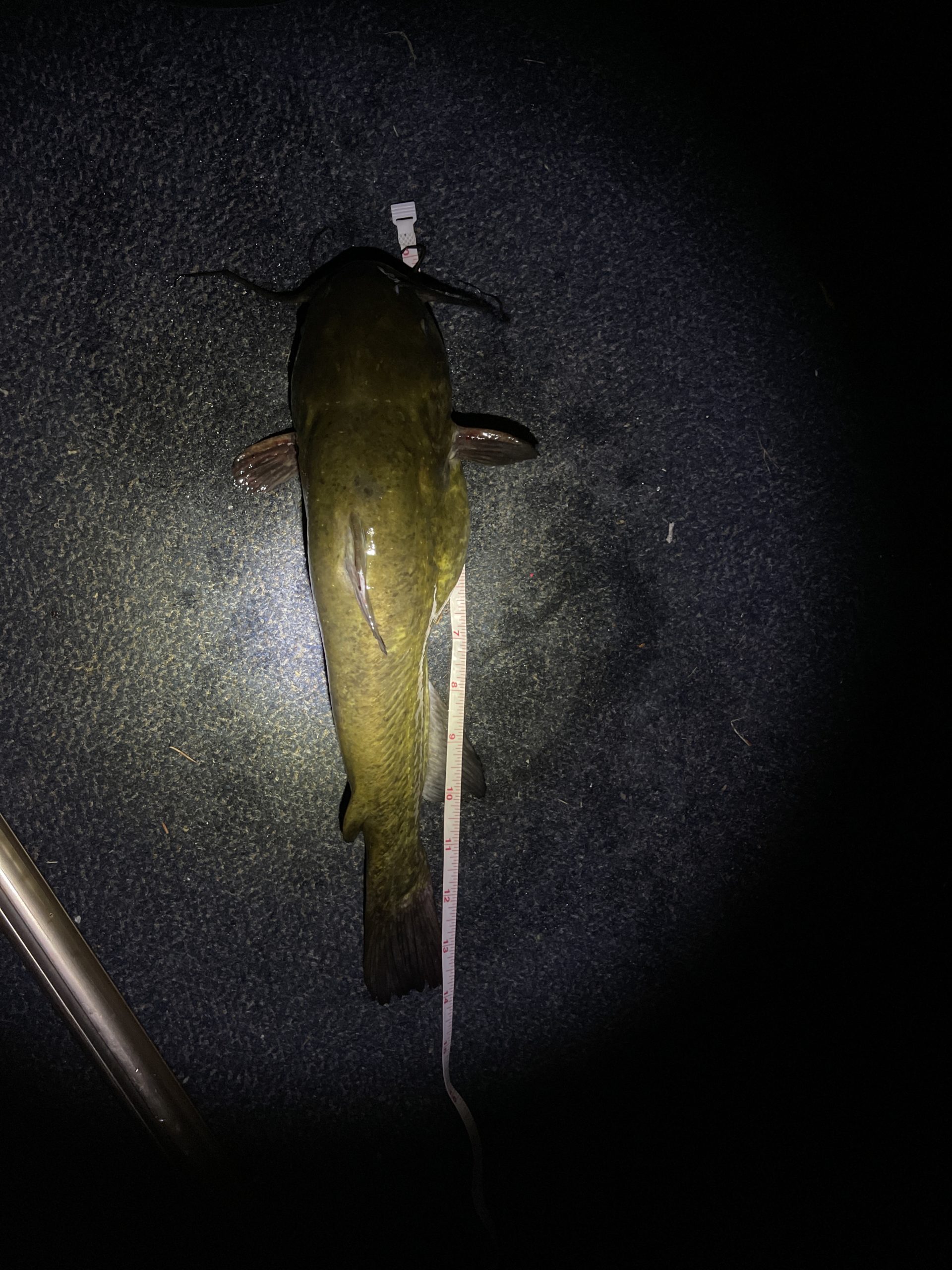 Addison Severs - Fishing Hall of Fame of Minnesota